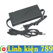 Nguồn Adapter 12V 5A